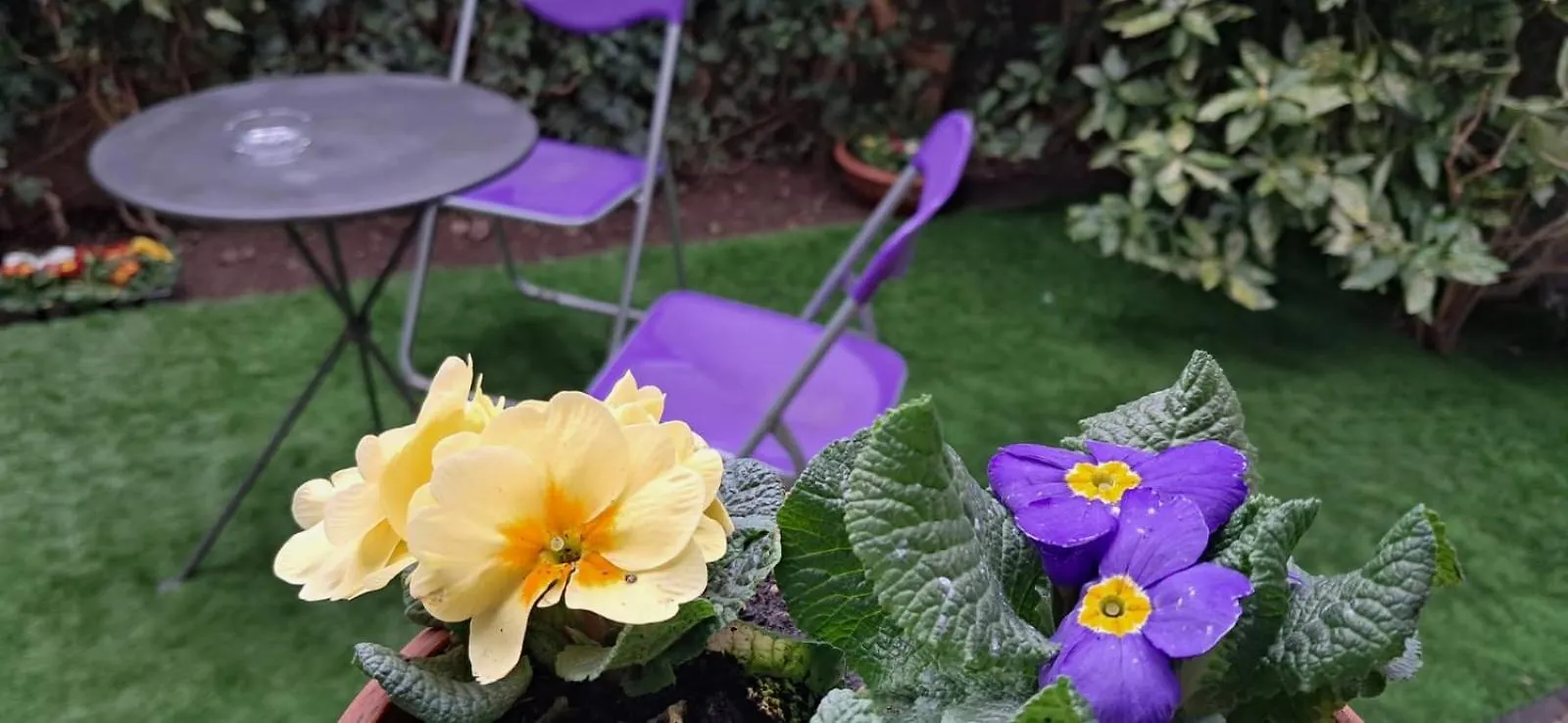 La Collina In Citta Appartement Bologna